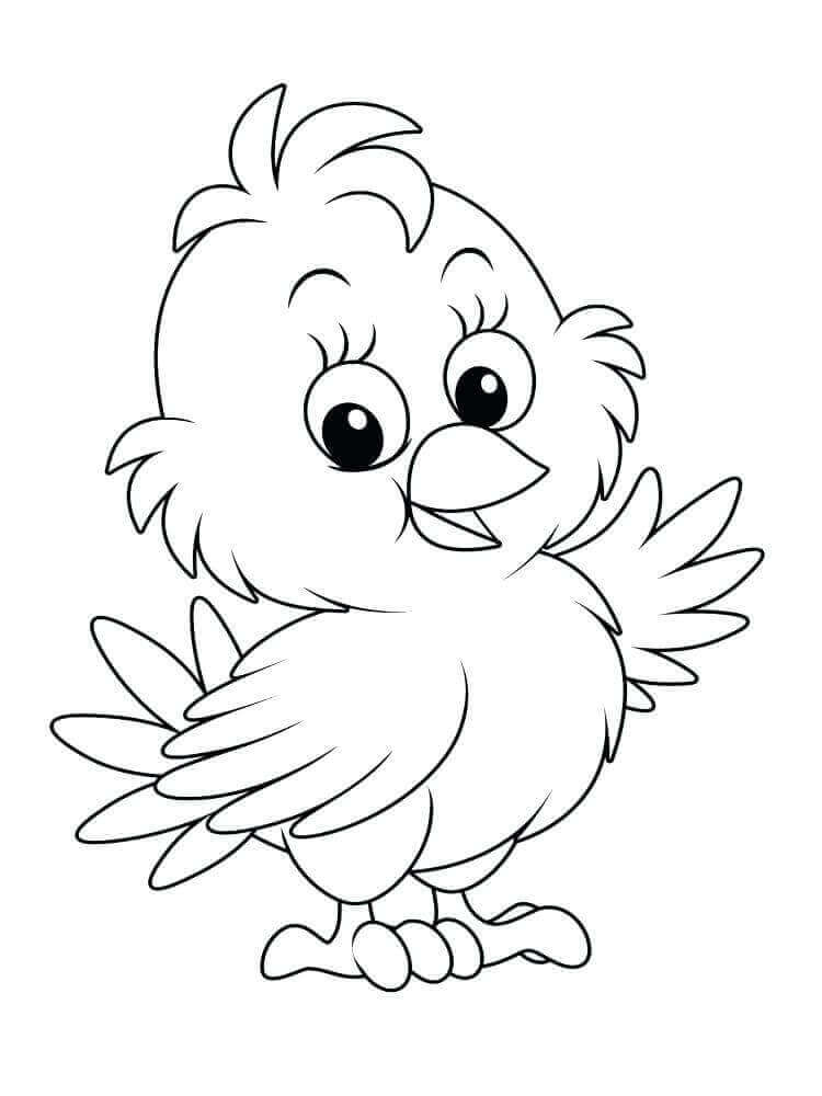 20 Free Easter Chick Coloring Pages Printable