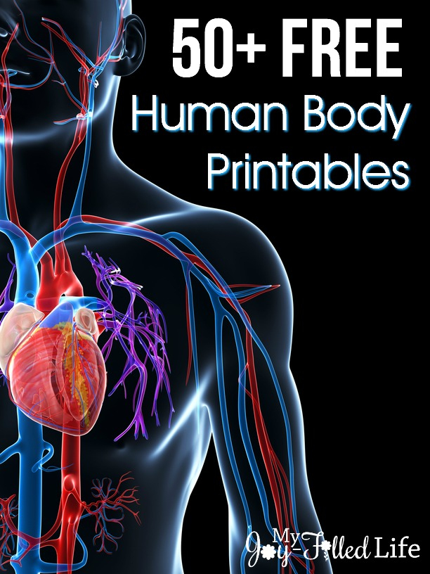 50 FREE Human Body Printables My Joy Filled Life