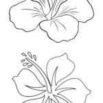 8 Best Large Flower Stencils Printable Printablee