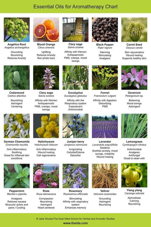 Aromatherapy Chart Aromatherapy Chart Essential Oils Essential Oils 