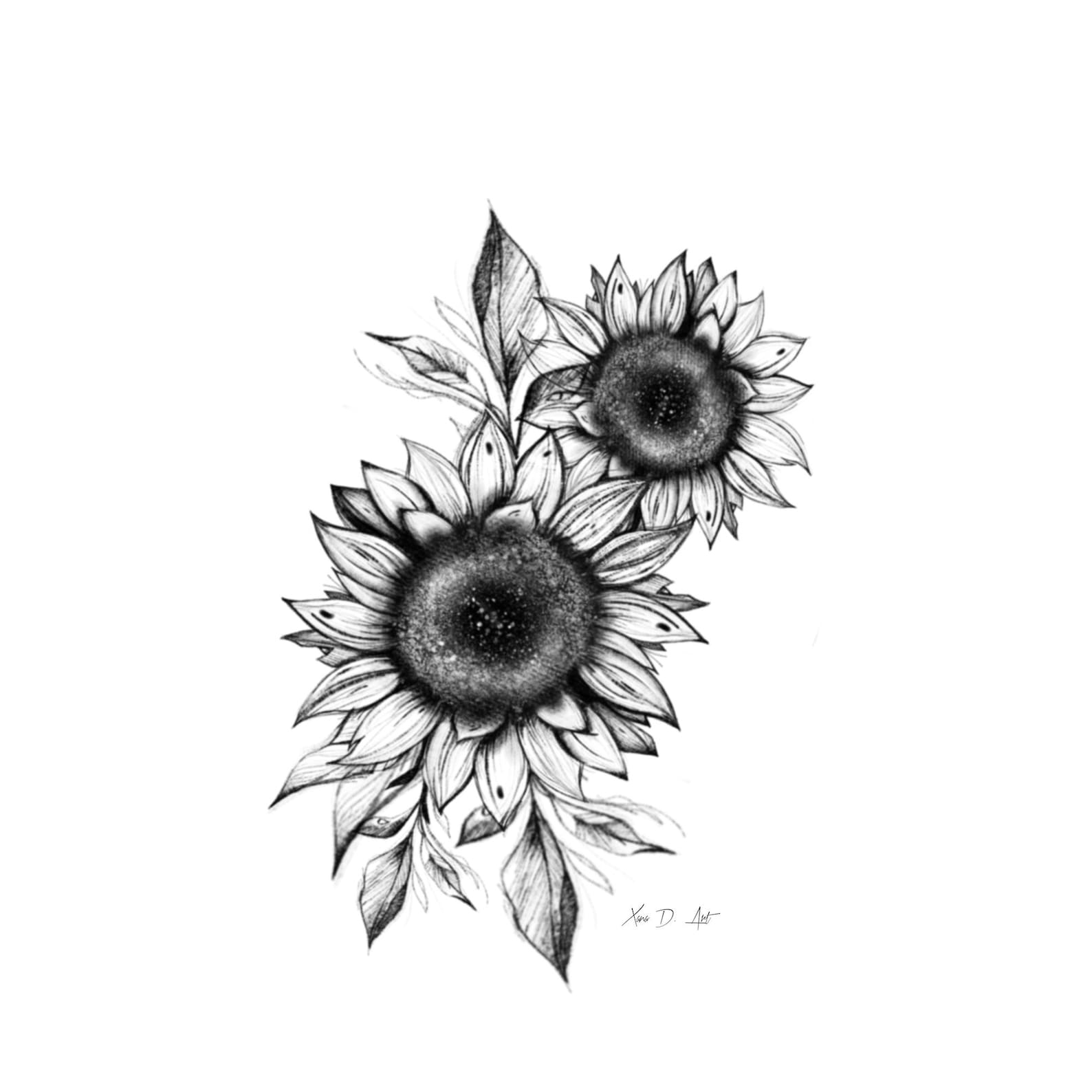 Black And White Sunflower Sketch Art Print Wall Art Drawing Etsy