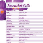 Complete Guide To Essential Oils Pdf Rumahhijabaqila