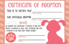 Fake Adoption Certificate Free Printable Free Printable