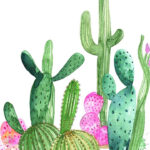 Favorite Wall Art Free Printables Alice And Lois Cactus Art Print