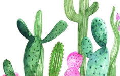 Favorite Wall Art Free Printables Alice And Lois Cactus Art Print