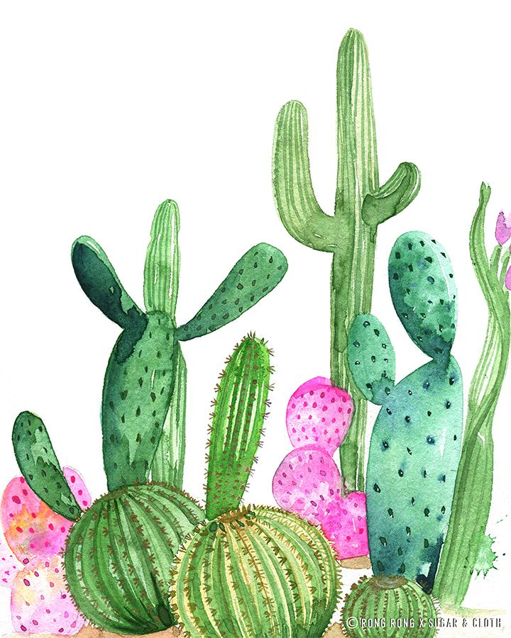 Free Printable Cactus