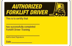 Forklift Certification Card Template Free Of Firearms Training