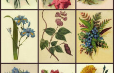 free clipart pattern and backgrounds art images textile digital free 1 Free Clipart pattern And Backgrounds art Images textile Digital Free