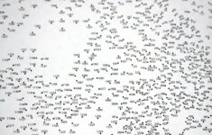 Free Printable Difficult Dot To Dot Puzzles Free Printable