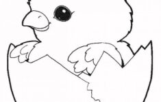 Free Printable Easter Baby Chick Coloring Pages Free Printable