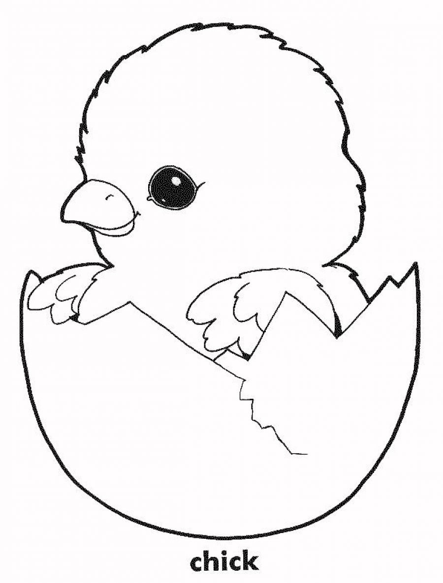 Free Printable Easter Baby Chick Coloring Pages Free Printable