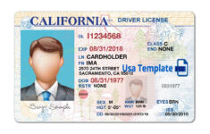 Free Printable Fake Drivers License Free Printable