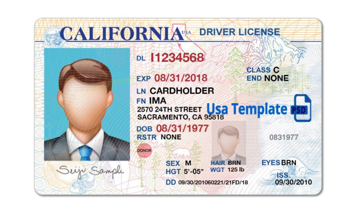 Free Printable Fake Driver’s License