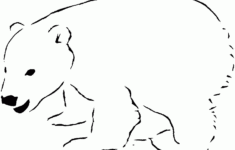 Free Printable Polar Bear Coloring Pages For Kids