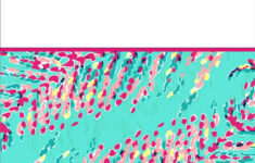 Free Printable School Binder Covers Free Printable