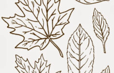 Leafy World 1 e1506164394912 jpg 1228 1496 Wood Burning Patterns