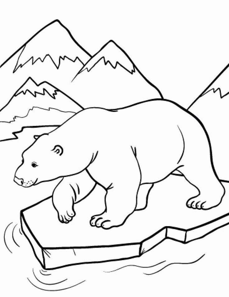 Polar Bear Coloring Page Luxury 20 Free Printable Polar Bear Coloring 