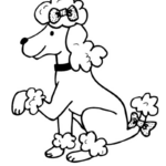 Poodle Dog Coloring Page Print Color Fun