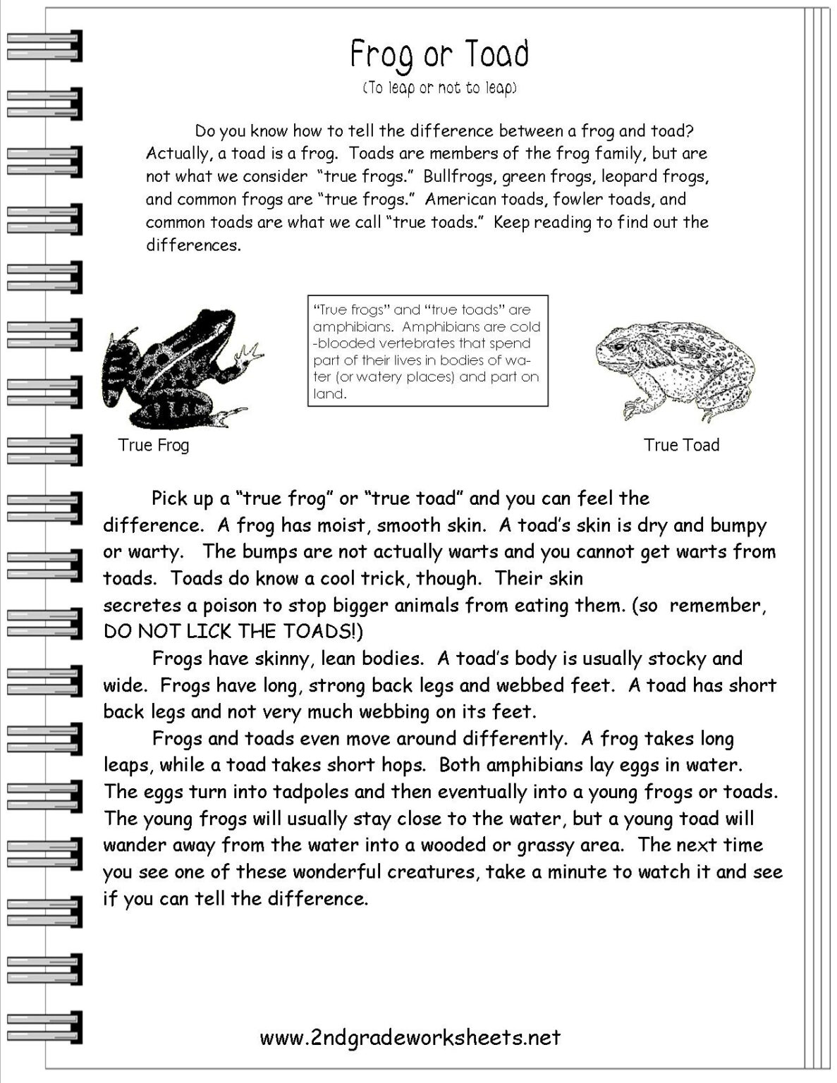 reading-worksheets-fourth-grade-reading-worksheets-free-printable
