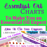 The Printable Guide On How To Use Essential Oils Safely Free
