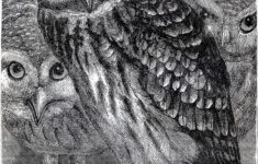 Vintage Download Wonderful Owls Printable The Graphics Fairy