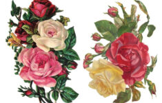 Visit The Post For More Decoupage Printables Decoupage Vintage