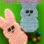 Diy Party Mom: Easter Peeps Bunny Box Plastic Canvas Pattern In Free Printable Easter Plastic Canvas Patterns