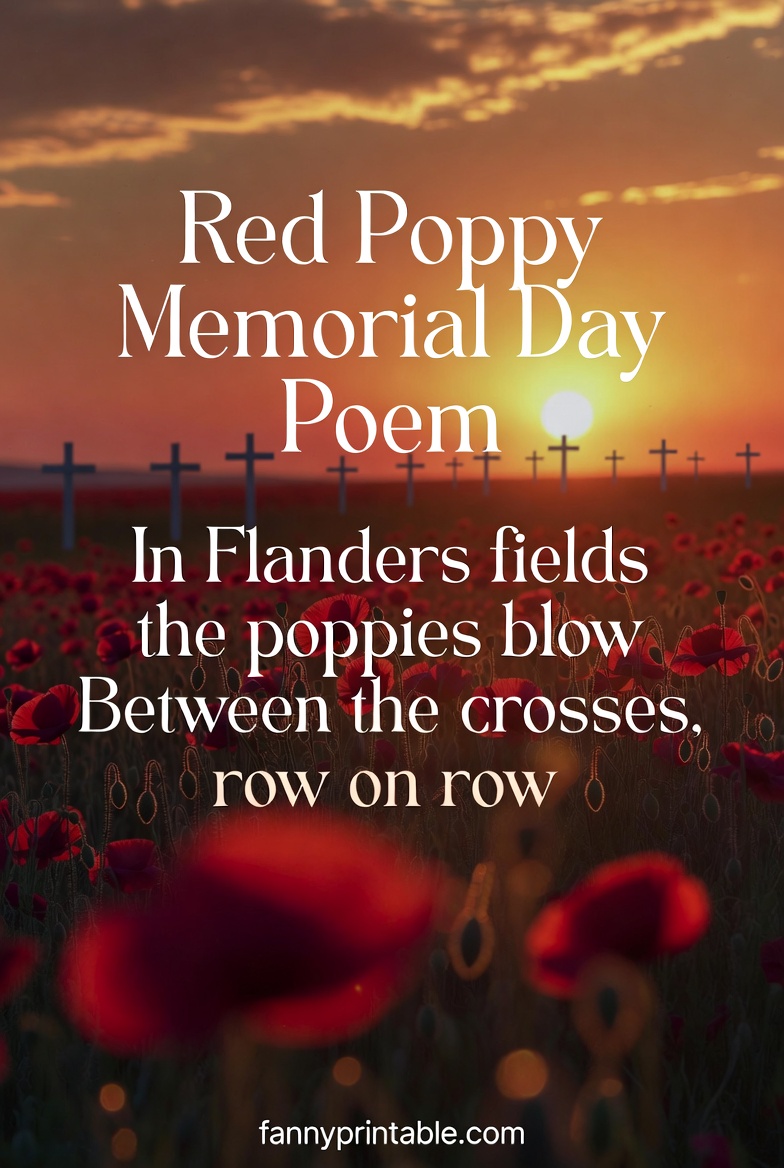 Red Poppy Memorial Day Poem Meaning and Tribute FannyPrintable (1)