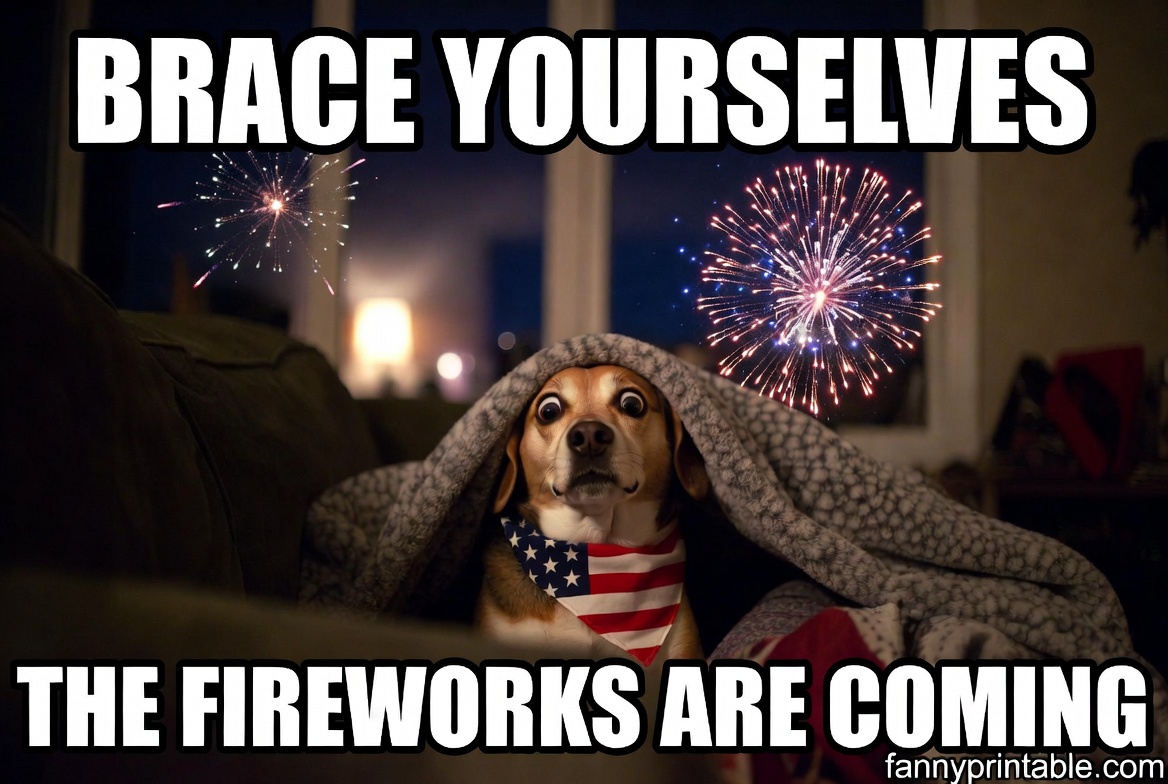 Funny 4th of July Memes (4)