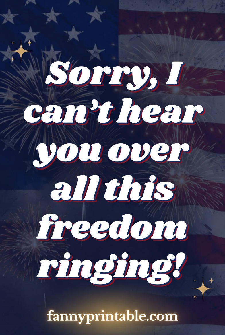 Funny 4th of July Quotes (3)