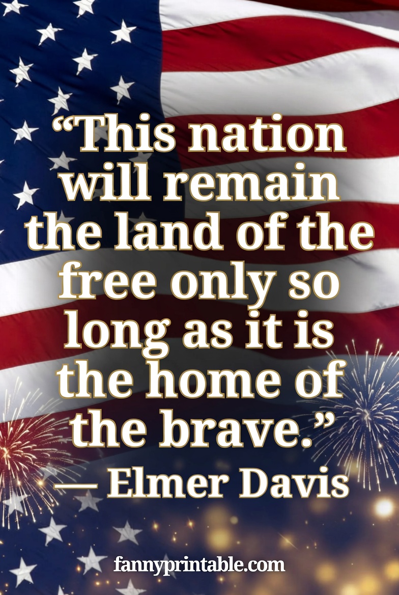 Inspirational 4th of July Quotes About Freedom (2)