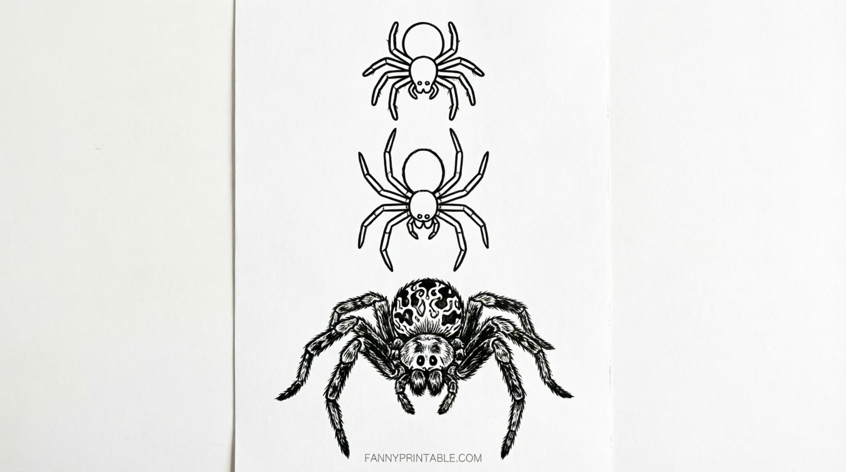 Free Printable Spider Pumpkin Carving Stencils (3)